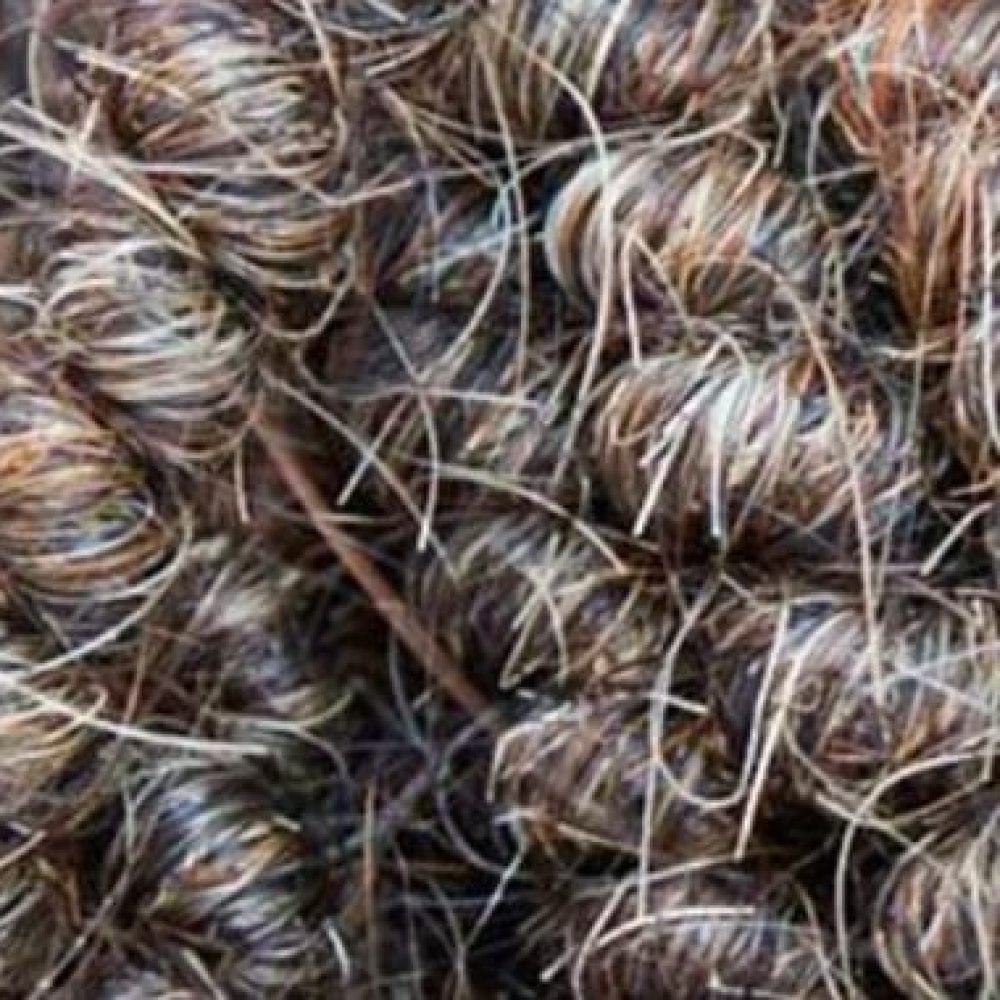 horsehair